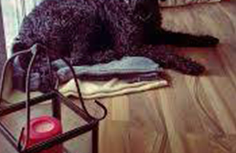 隔音材料選擇：玻璃纖維棉與岩棉的限制