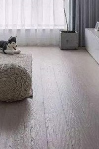 鋐哥地板施工的台中SPC地板商業空間案例